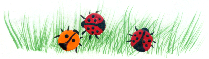 {short description of image}