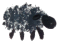 {short description of image}