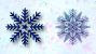 Let it Snow!