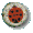 {short description of image}