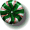 Wintergreen