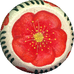 Red Poppy