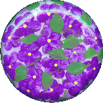 {short description of image}