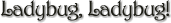 {short description of image}